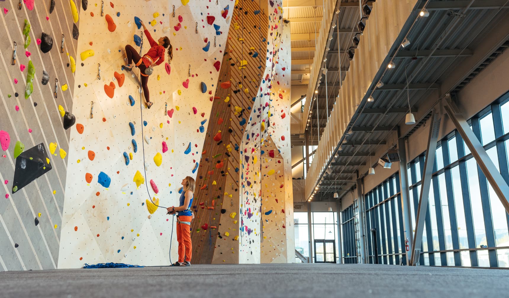 Two women climbing an indoor climbing wall next to sunny windows