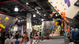 Vertical Solutions commercial gym