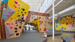 Vertical Solutions commercial gym