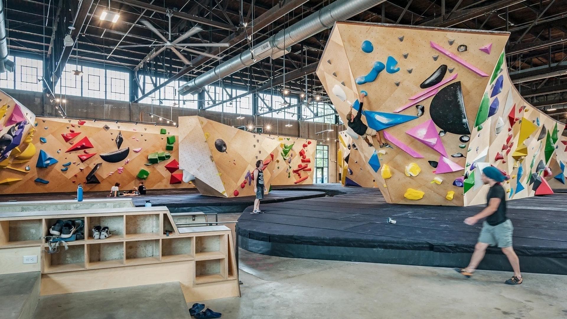 Vertical Solutions commercial gym