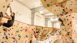 Vertical Solutions commercial gym