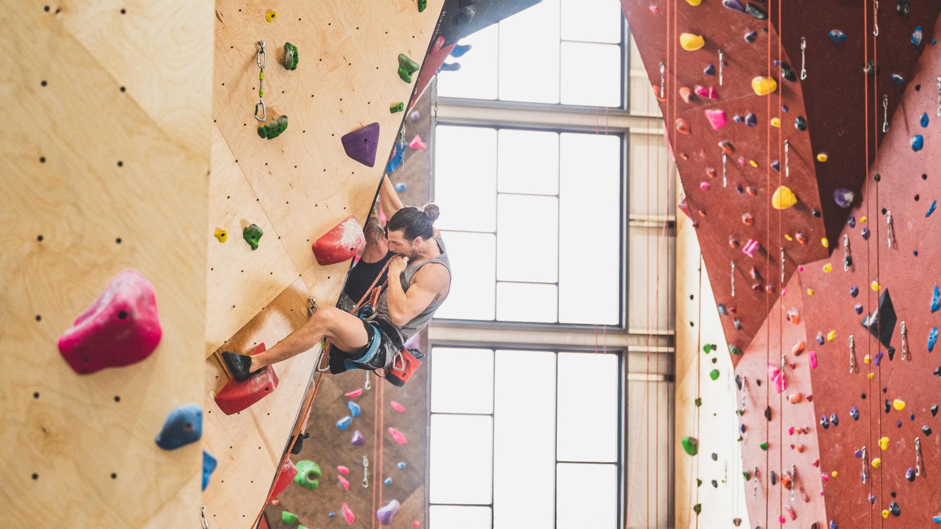 Vertical Solutions commercial gym