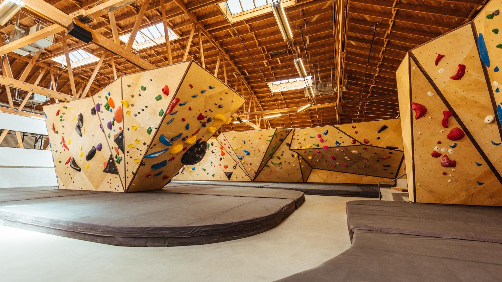 Vertical Solutions commercial gym