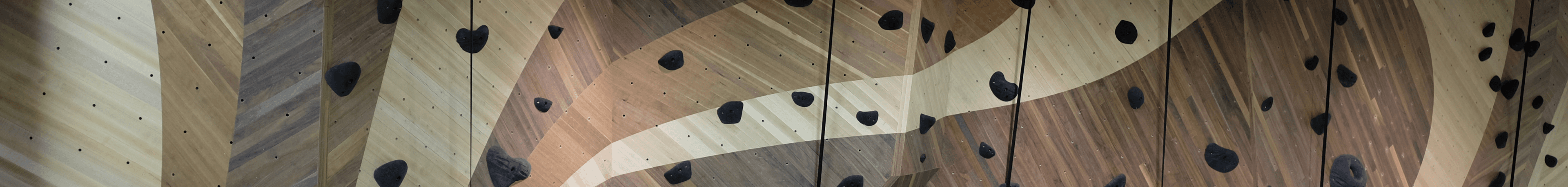 Eddie Bauer rock climbing wall detail