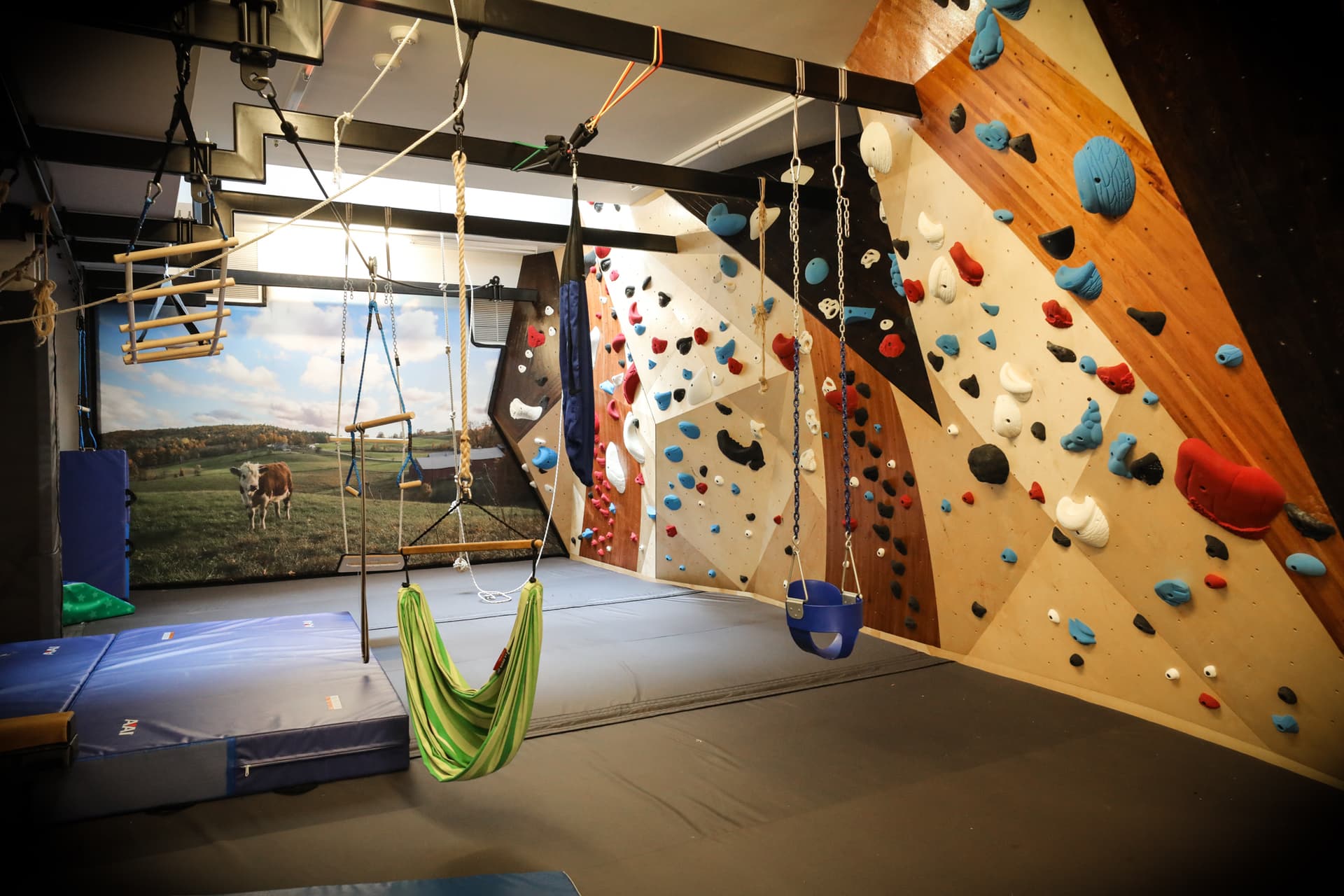 Home Climbing Walls - Vertical Solutions