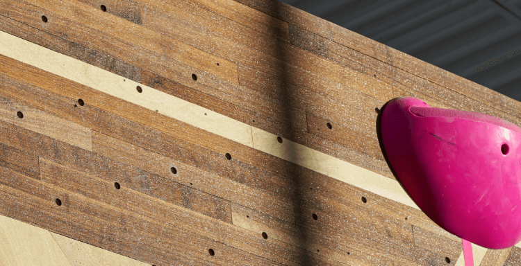 Climbing wall finish texture and pink climbing hold in sunlight