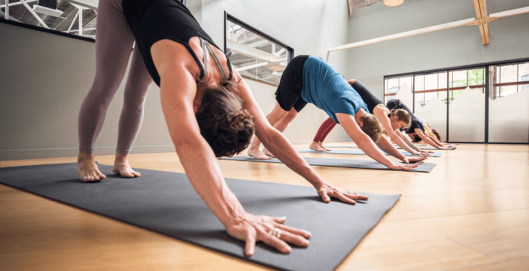 A yoga class in the downward dog position