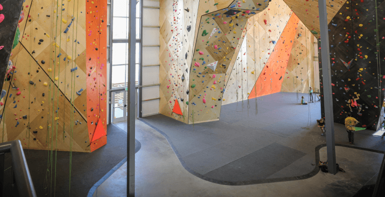 Curved climbing flooring underneath contrasting wood panel climbing walls