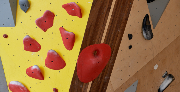 Red and black climbing holds on a wood inlay wall