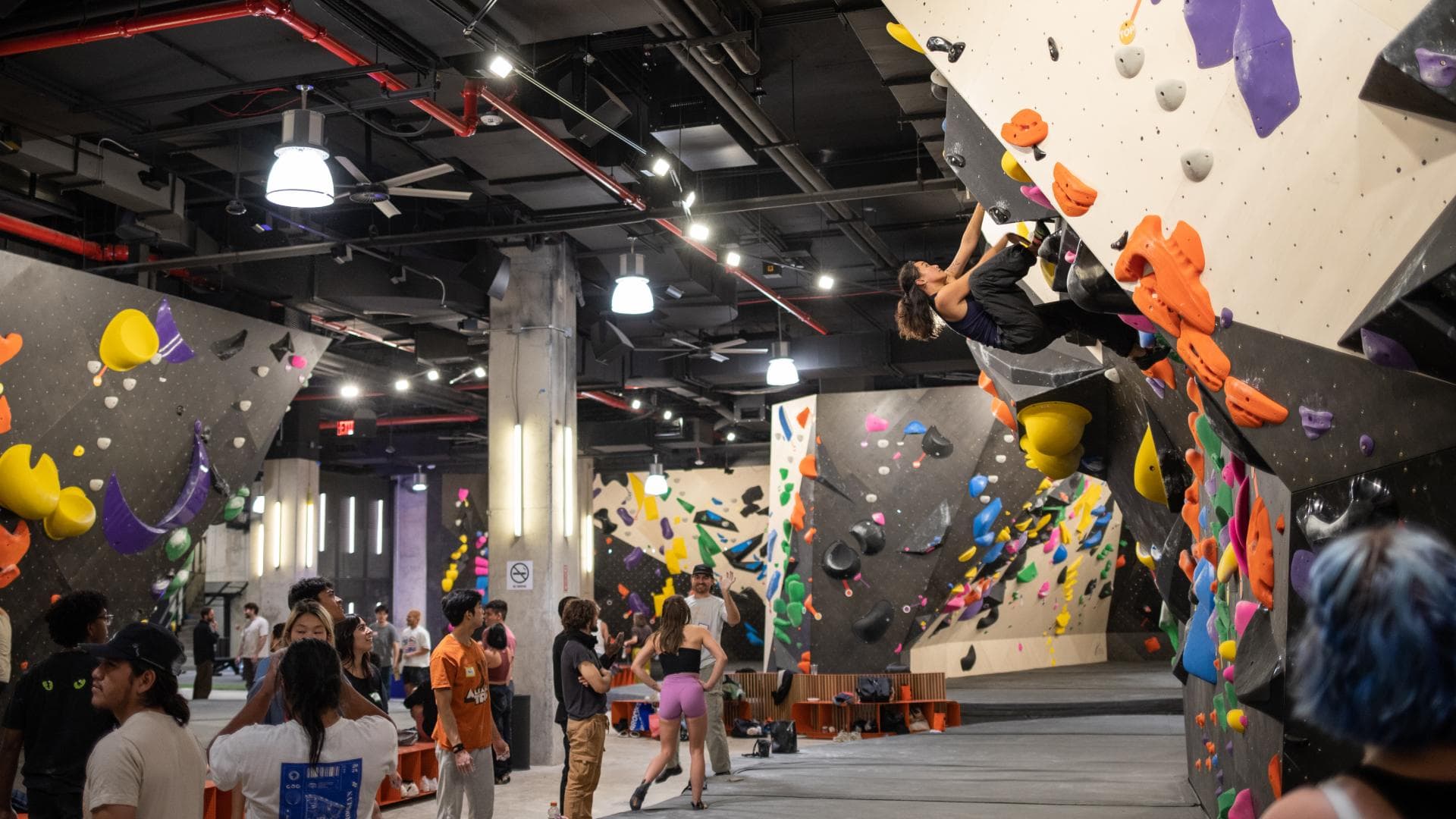 Vertical Solutions commercial gym