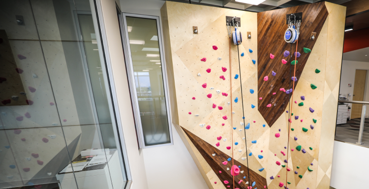 Corporate office with autobelay climbing wall