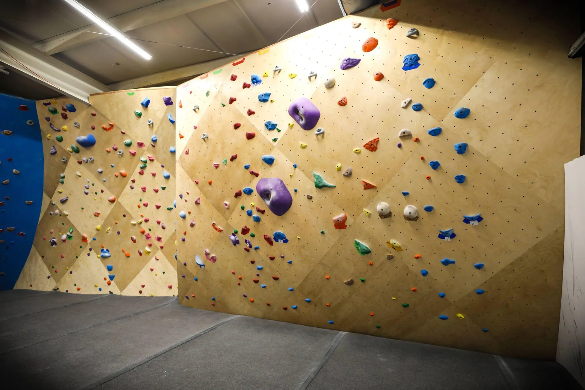 The South Wall of the facility that has gentle and subtle ARC curves designed to flow into the classic Wave bouldering cave.
