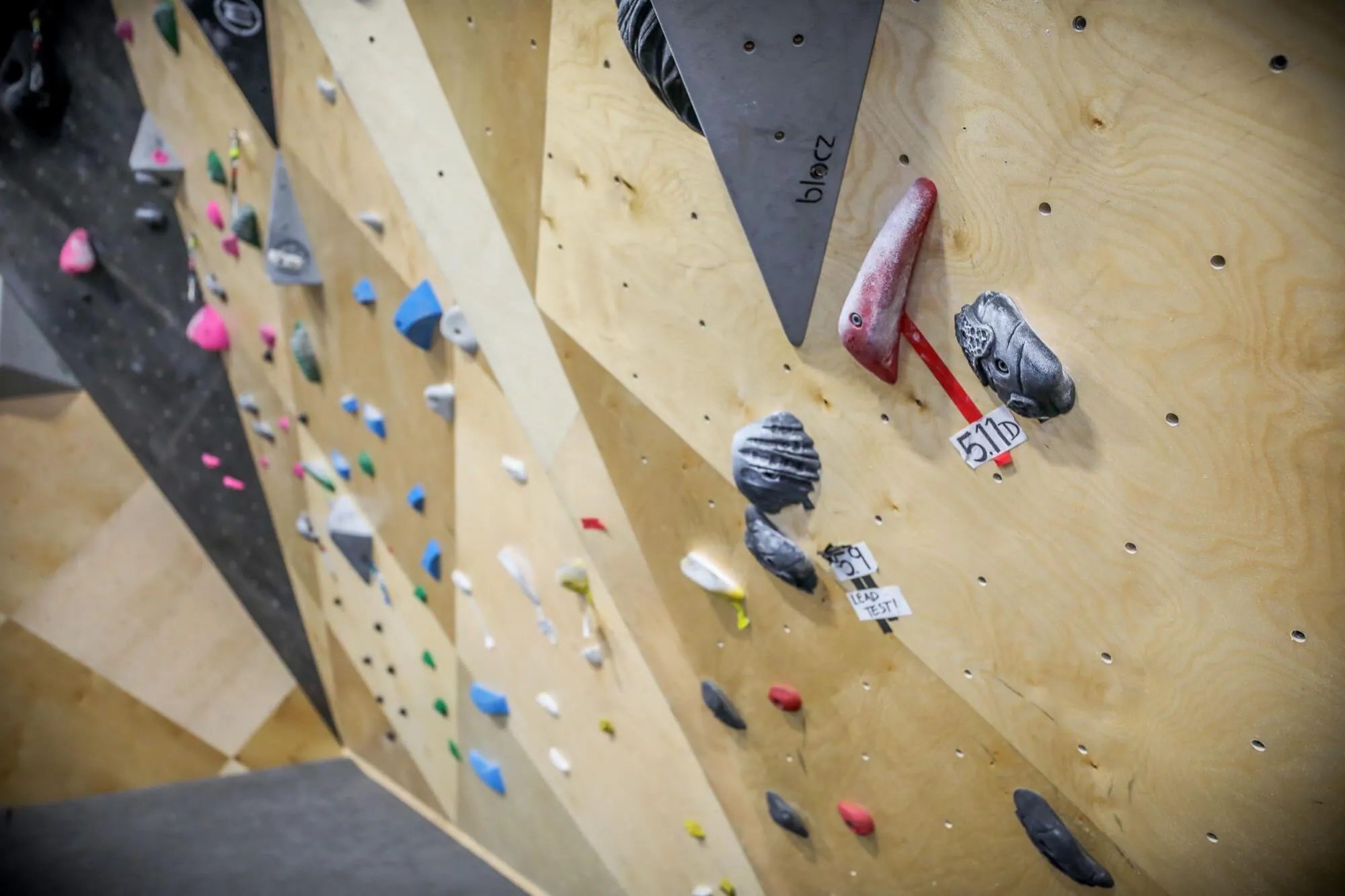 An up-close view of the grains and clear texture applied to Vertical Solutions MLM geometric panel climbing walls, built from real hardwood, in the newly-renovated route climbing area. 
