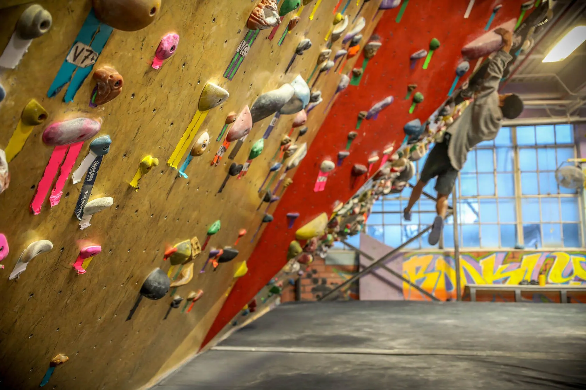 Vertical Solutions MLM geometric climbing walls can seamlessly transition between angles, custom-paint schemes, hardwood-inlay features, and top-coat textures so you can adapt your space to exactly how you want it to be.
