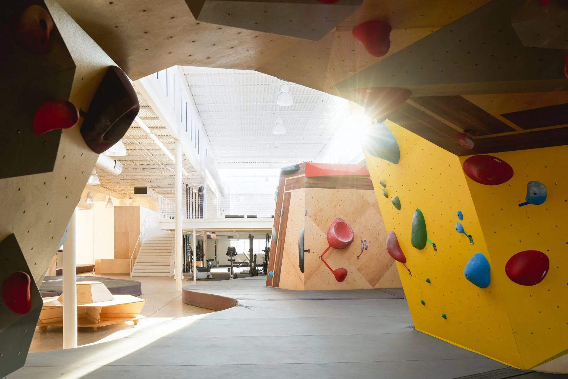 From the inside out, a beautiful view from the cave to the weights and fitness area.
