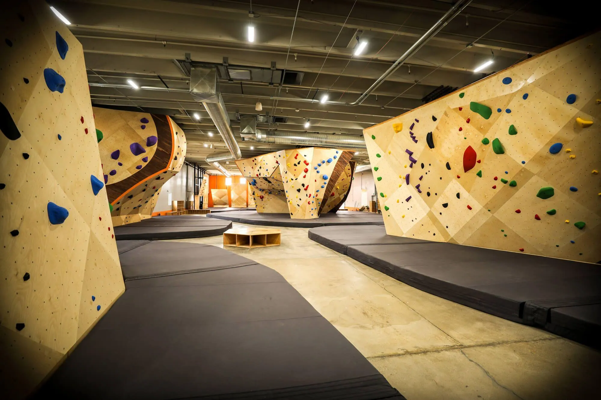 The view a customer gets upon walking past the front desk; warm, inviting, interesting, clean and spacious.