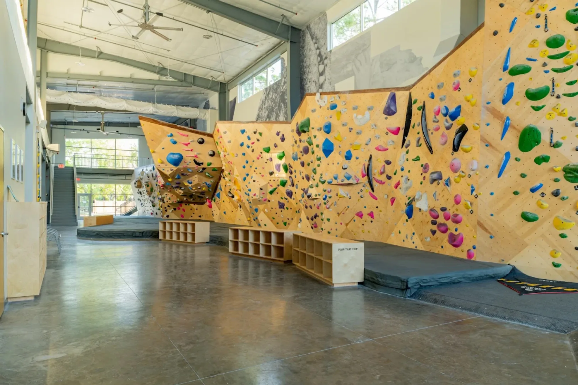 Climbing walls at Stone Climbing — JAX, Jacksonville, FL