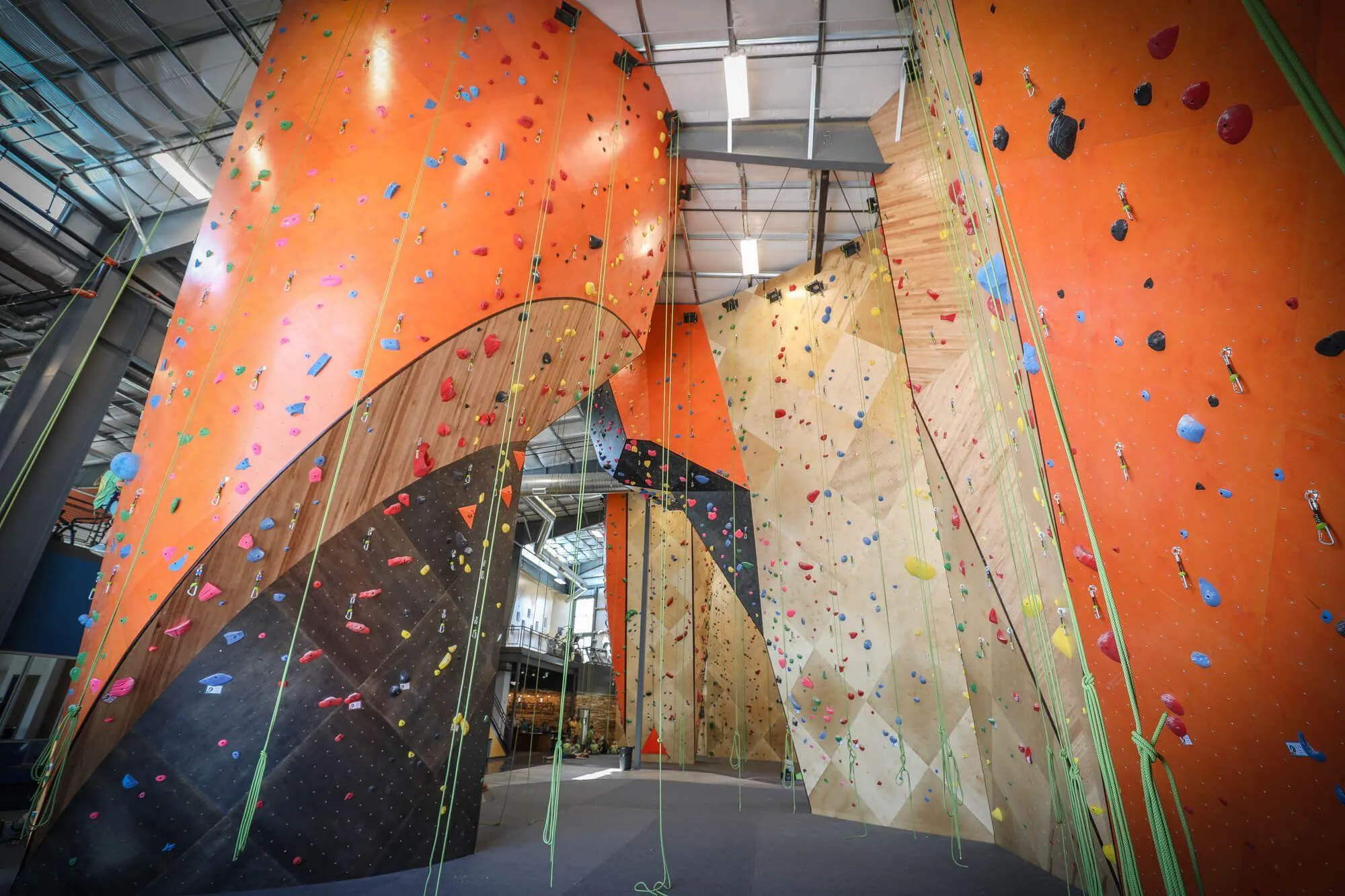 This view shows the complete package that Vertical Solutions was able to deliver for these gym owners: A full variety of wall design, construction, wood base materials, hardwood details, stains, and textures.
